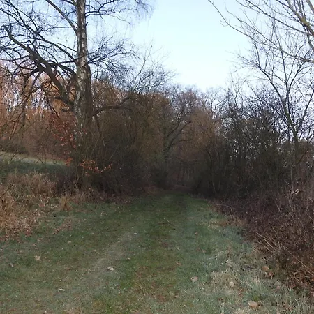 Apartment Dorfgalerie Lahntal *