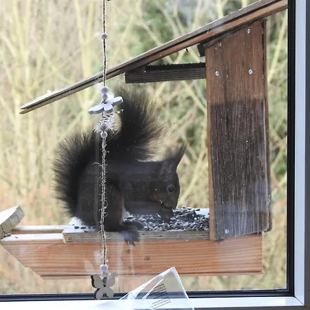 Dorfgalerie Lahntal Daire Villmar