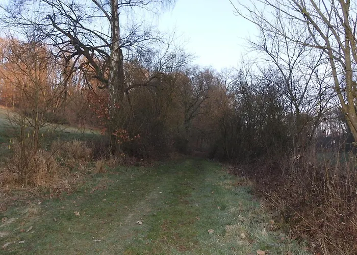 شقة Dorfgalerie Lahntal *