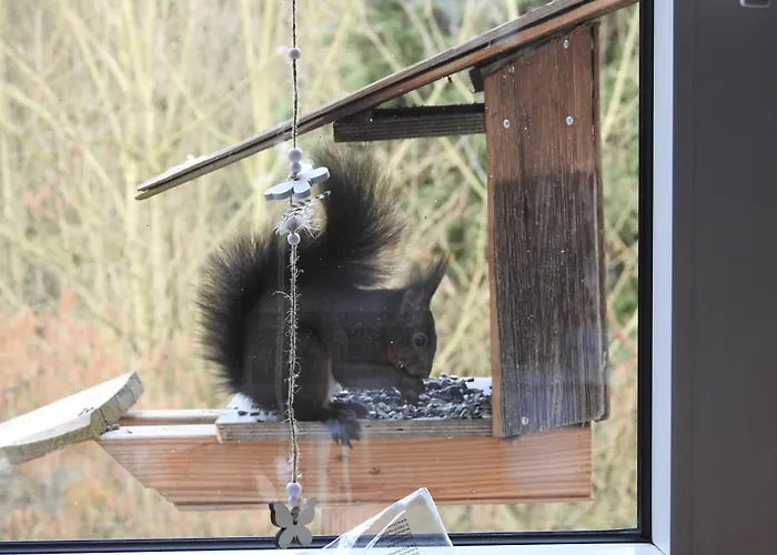 Dorfgalerie Lahntal شقة Villmar