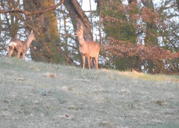 شقة Dorfgalerie Lahntal *